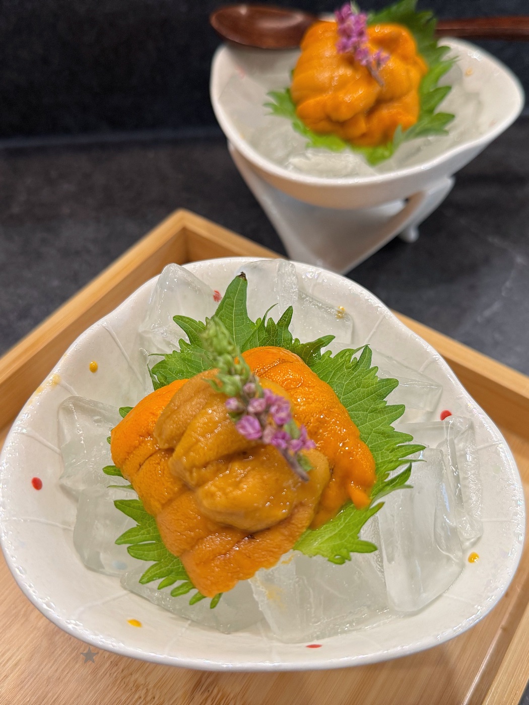 Sea urchin on a green leaf over clear ice, with a second matching bowl behind it